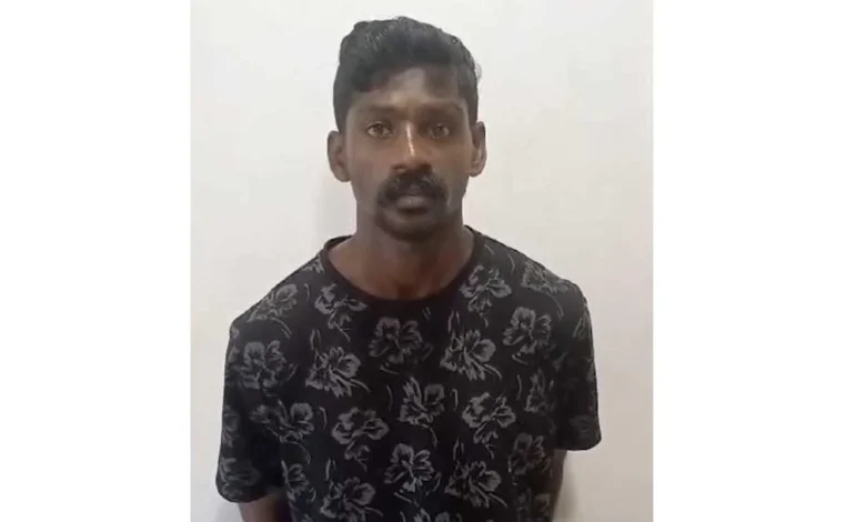 കൊല്ലത്ത് 73കാരി നേരിട്ടത് അതിക്രൂരമായ ലൈംഗിക പീഡനം; പ്രതി അറസ്റ്റിൽ