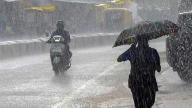 വരും ദിവസങ്ങളിൽ വടക്കൻ കേരളത്തിൽ കൂടുതൽ മഴയ്ക്ക് സാധ്യത; ഇന്ന് രണ്ട് ജില്ലകളിൽ യെല്ലോ അലർട്ട്