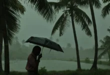 കോഴിക്കോട് അടക്കം നാളെ മുതല്‍ സംസ്ഥാനത്ത് ശക്തമായ മഴ: ആറു ജില്ലകളില്‍ യെല്ലോ അലര്‍ട്ട്