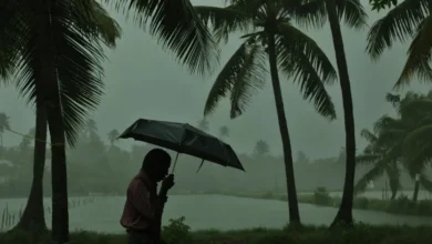 കോഴിക്കോട് അടക്കം നാളെ മുതല്‍ സംസ്ഥാനത്ത് ശക്തമായ മഴ: ആറു ജില്ലകളില്‍ യെല്ലോ അലര്‍ട്ട്